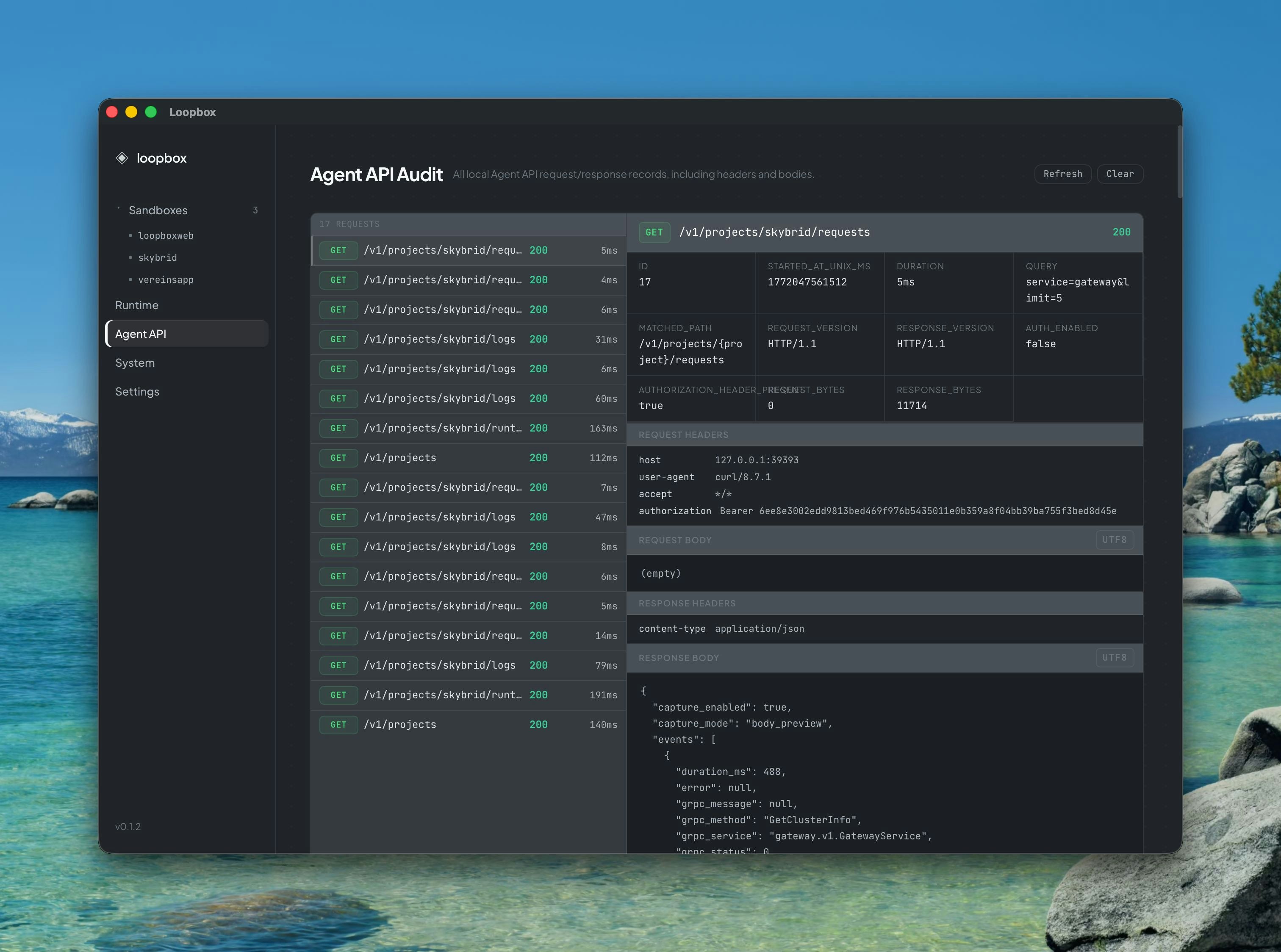 LOOPBOX - LOCAL SANDBOX CONTROL PLANE - Screenshot 3 showing product features and functionality