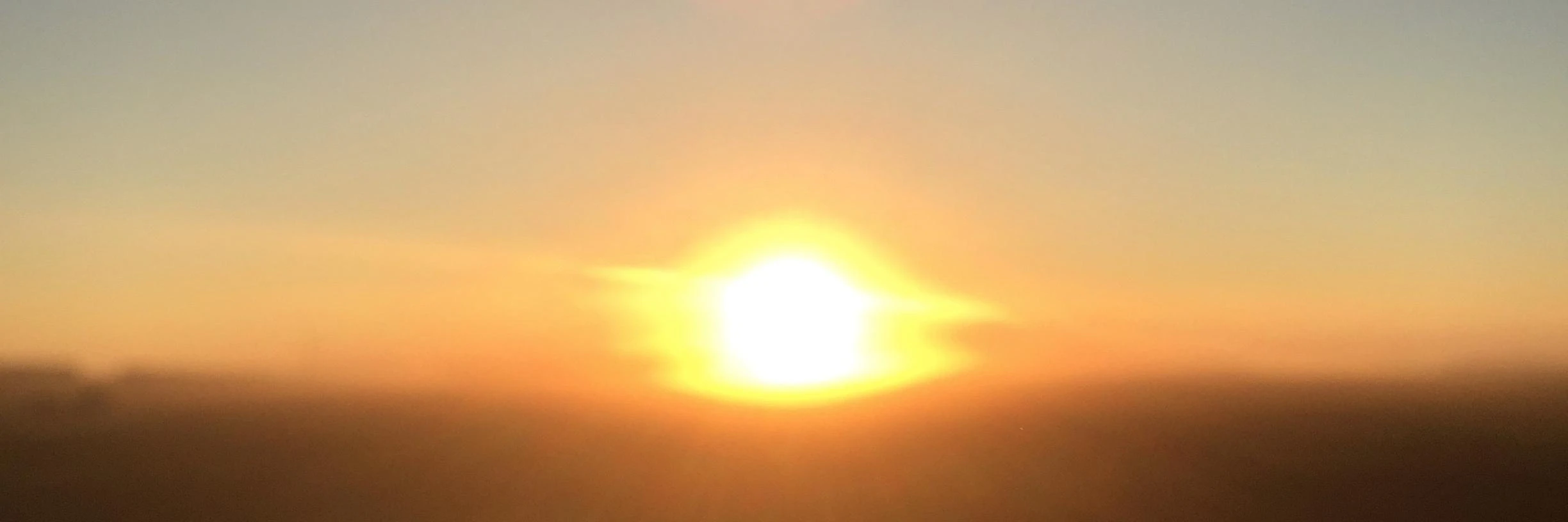 Anthony D. Nelson cover