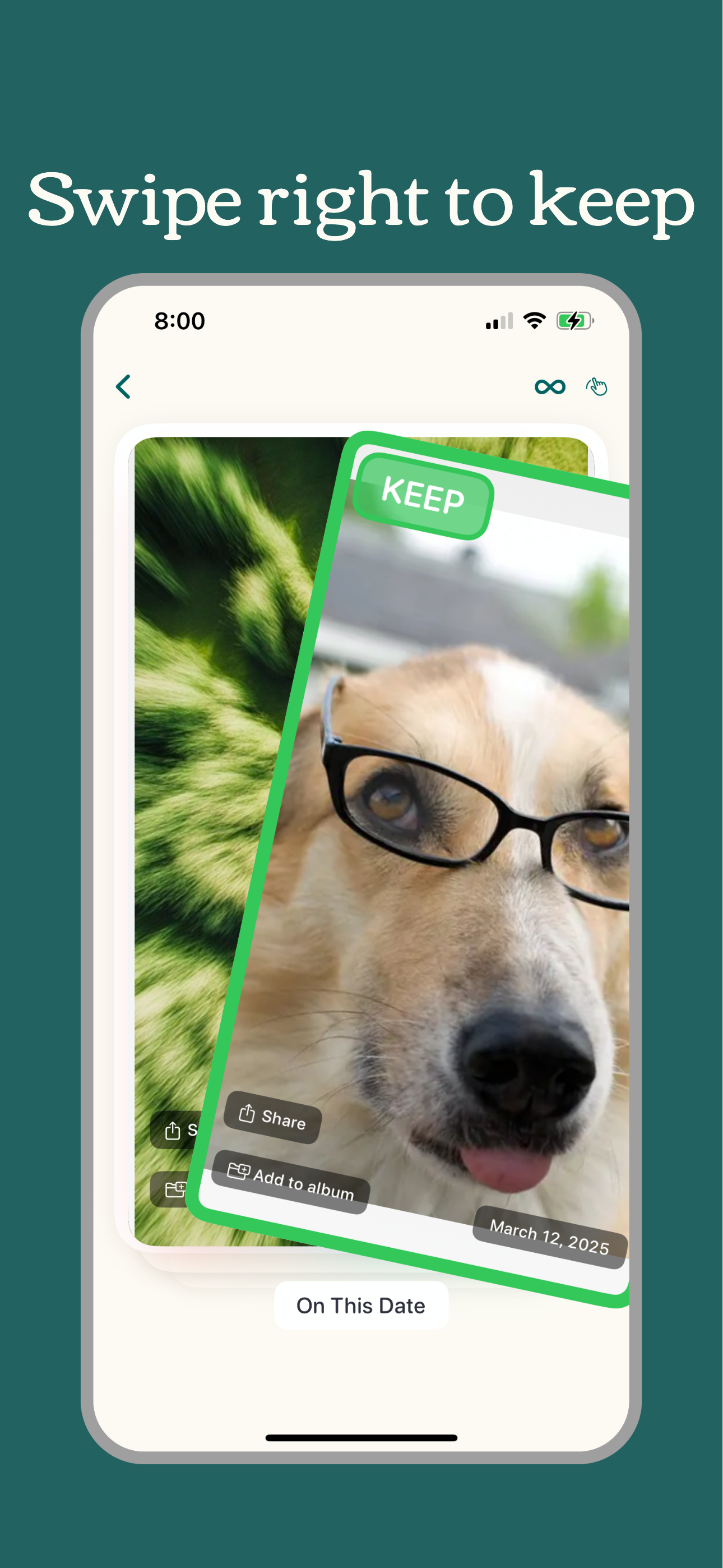 Pixitt gallery image