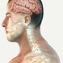 Functional Wellness Center gallery image