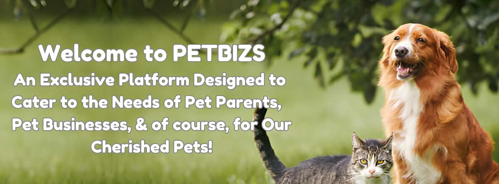 Pet Industry Visual Advertisement Portal gallery image