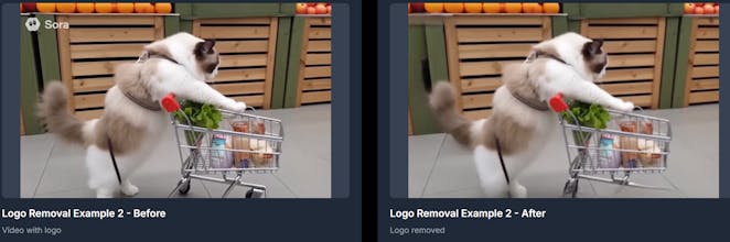 Remove video watermark, logo & subtitle gallery image