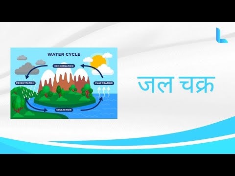 Online learning platform gallery image