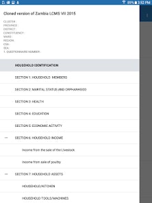 Survey Solutions gallery image