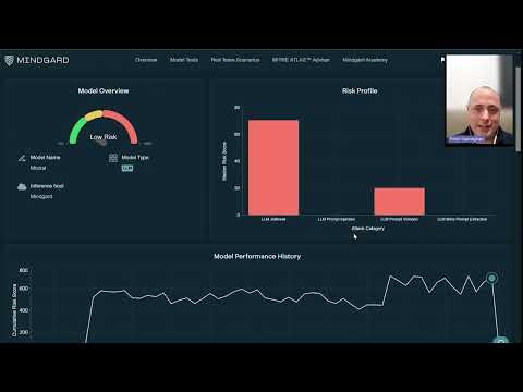 Mindgard gallery image