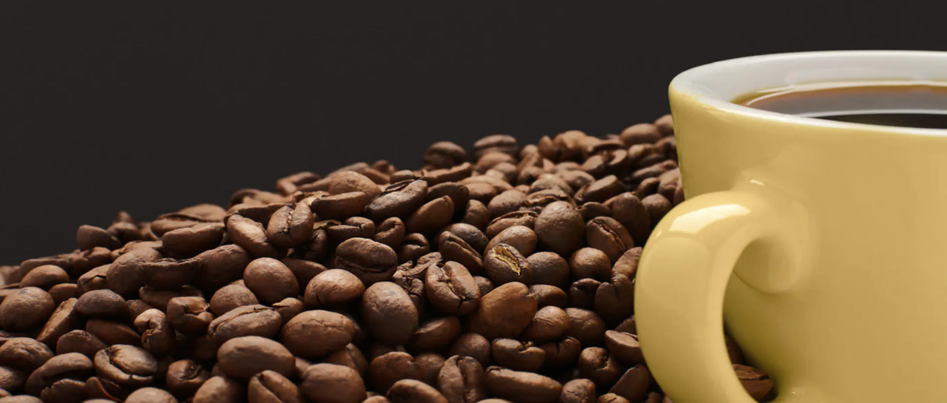 Dammit Coffee Curator
