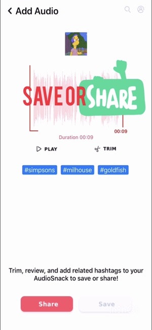 Audio Snack gallery image