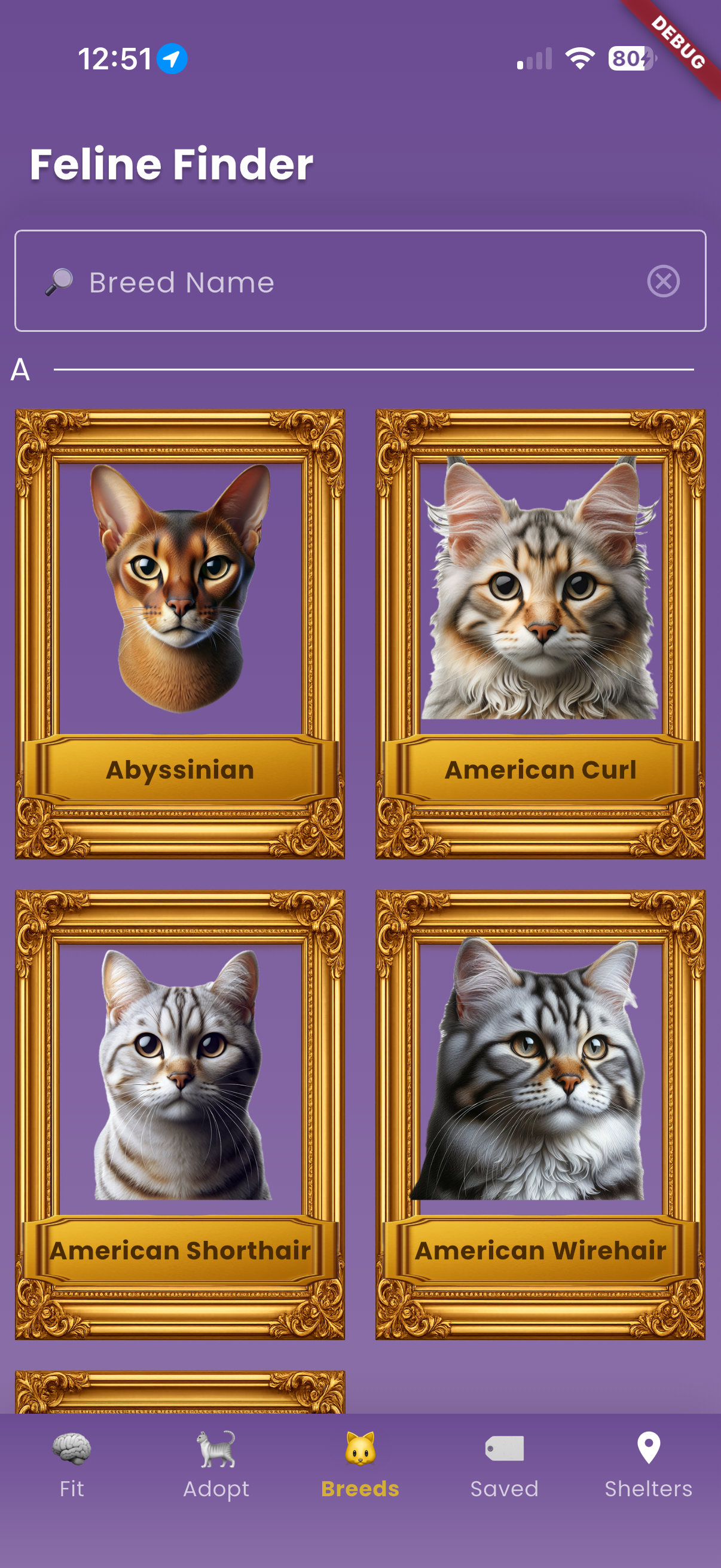 Feline Finder - When Adopting gallery image