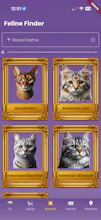 Feline Finder - When Adopting gallery image