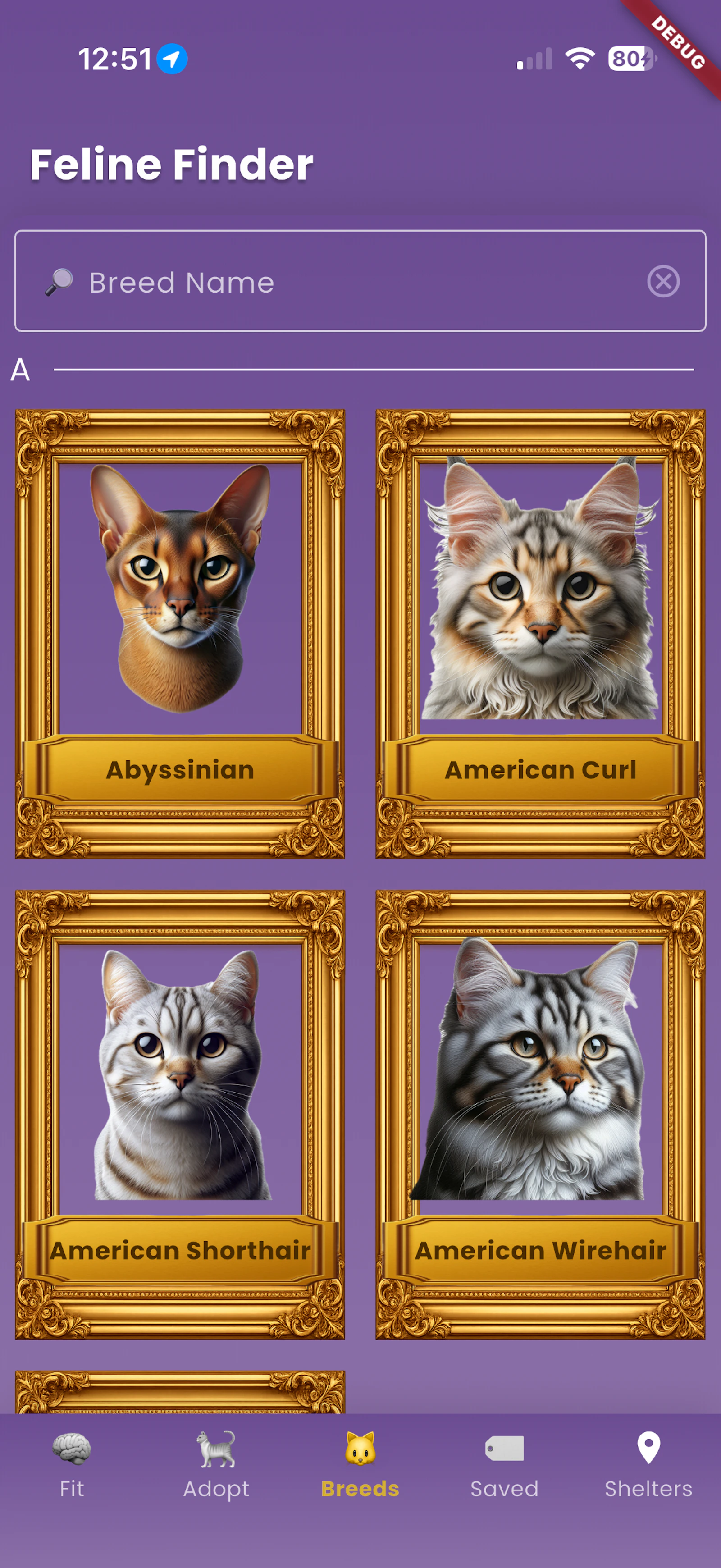 Feline Finder - When Adopting screenshot 6