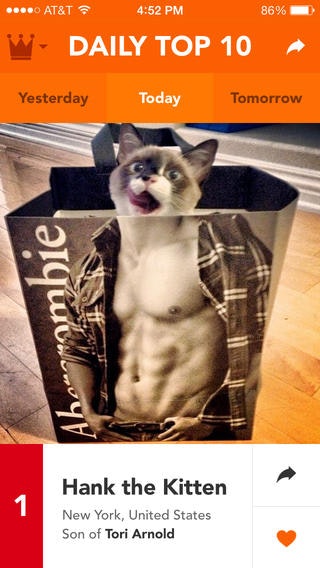 Klooff gallery image