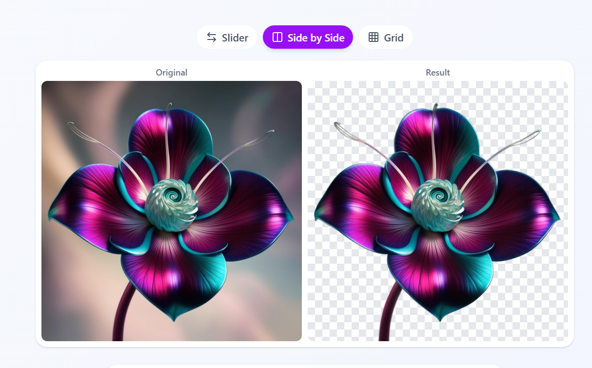 Free Background Remover No Signup gallery image