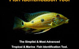 Fish Identification Tool media 3