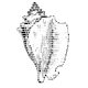 The Xonsh Shell