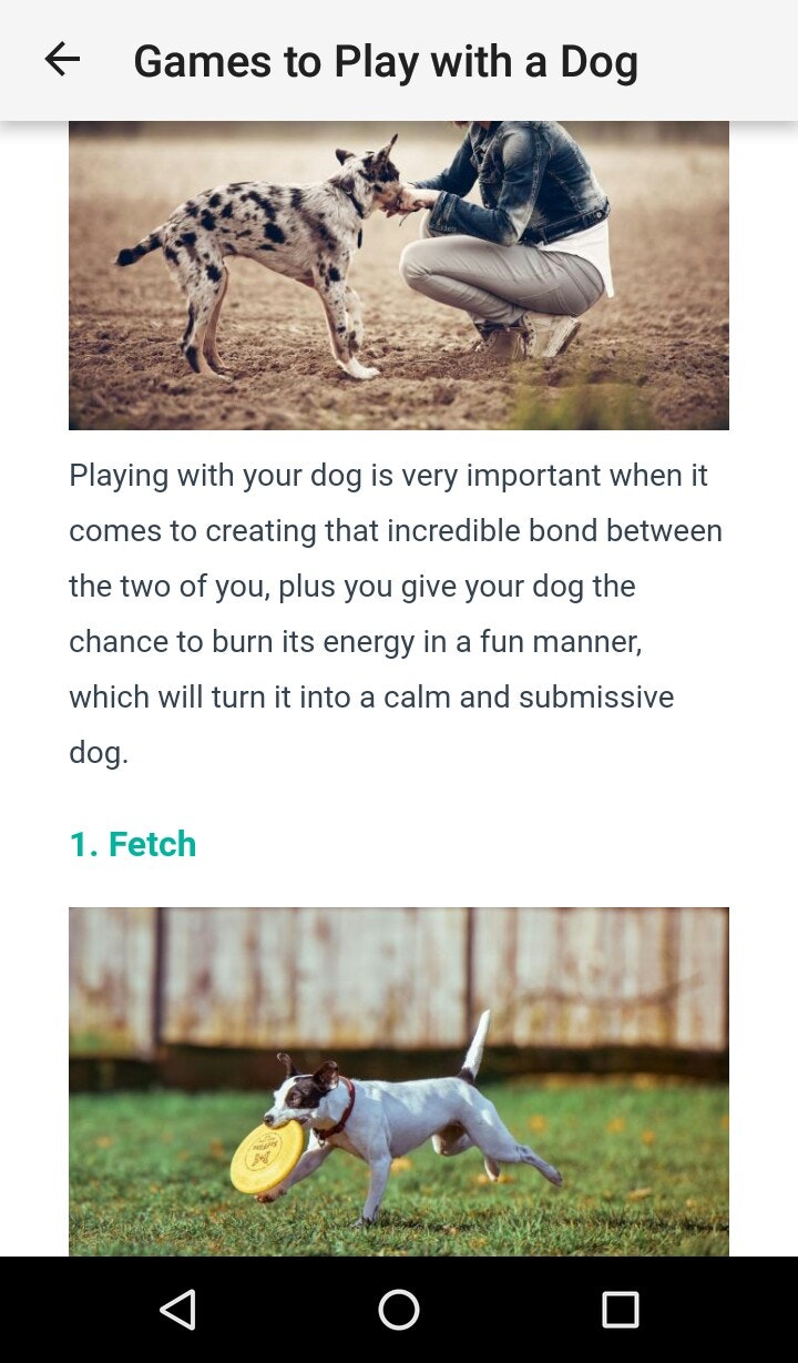 Dog Training : 101 gallery image