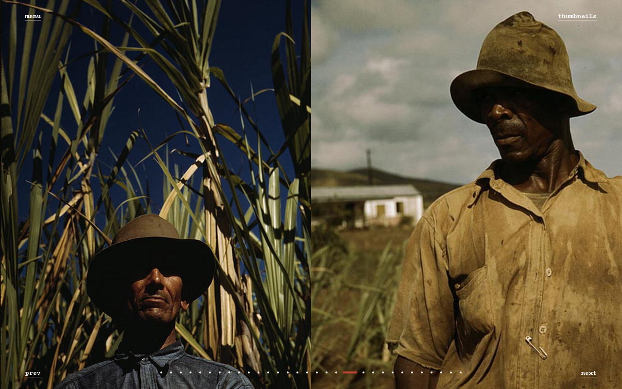 Foliodot gallery image