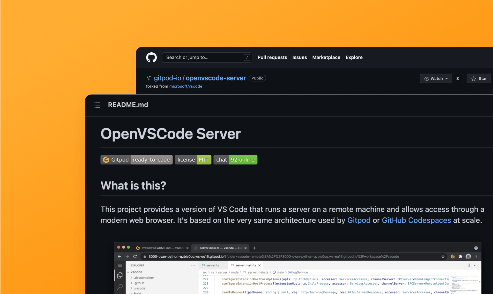 OpenVSCode Server media 3