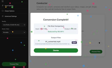 Conductor gallery image