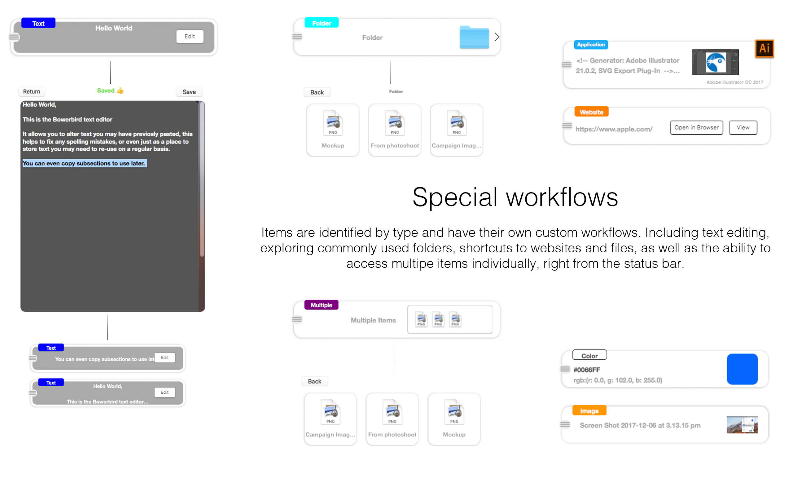 Bowerbird gallery image