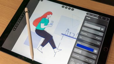 Grape Illustration Pack gallery image