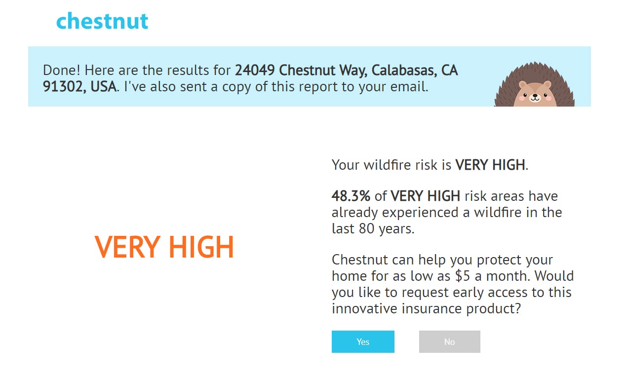 Chestnut gallery image