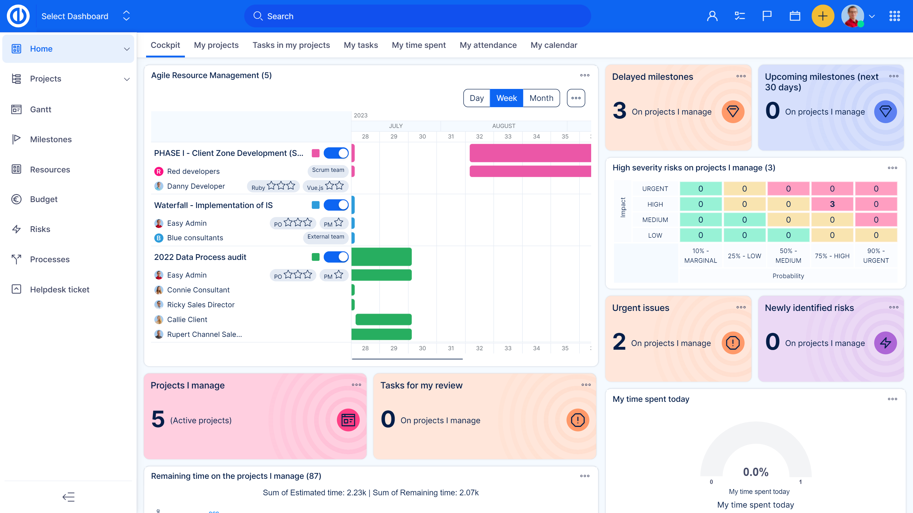 Easy Redmine - Screenshot 4 showing product features and functionality