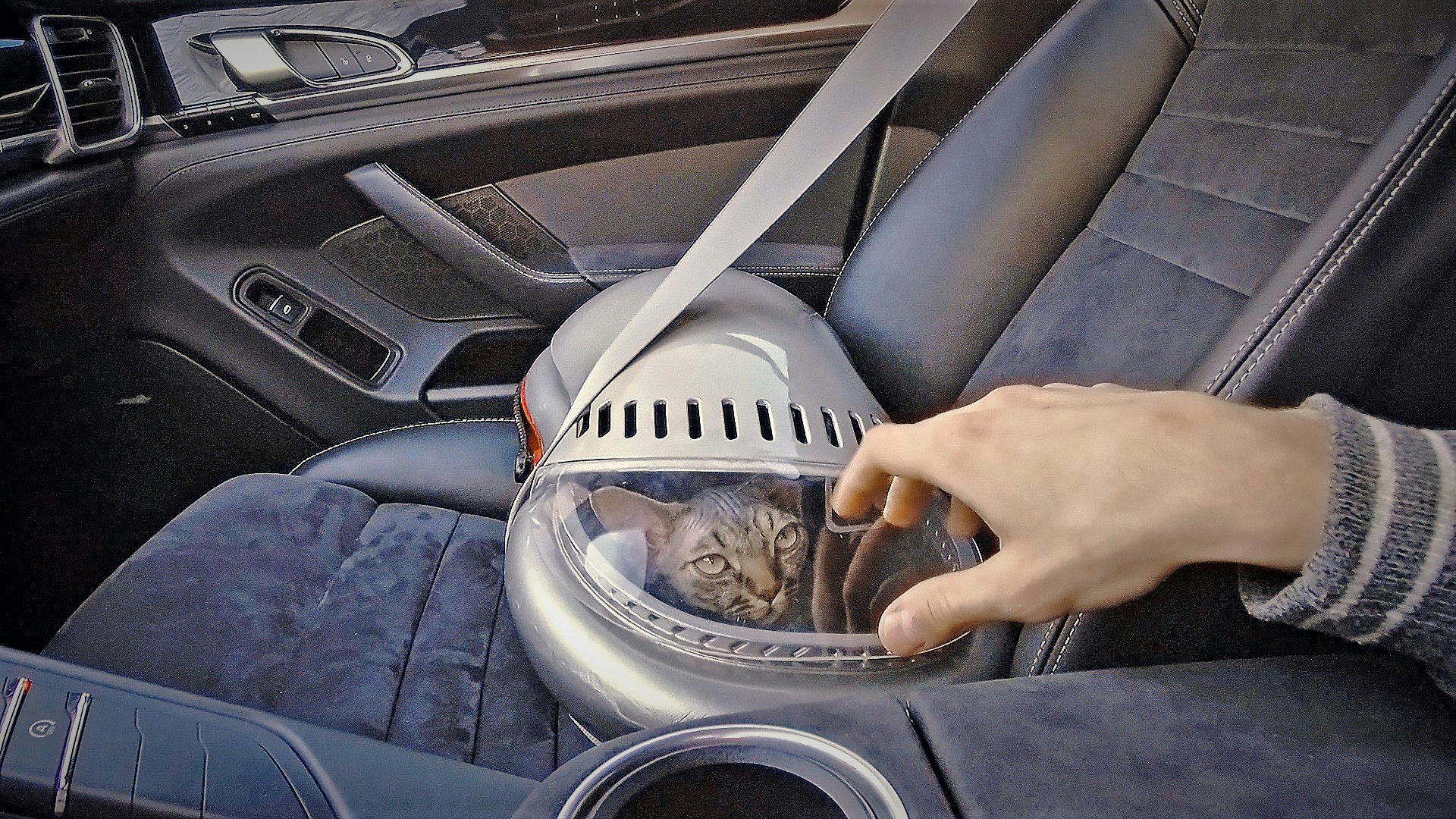 THE WORLD'S 1ST ERGONOMIC PET CARRIER gallery image