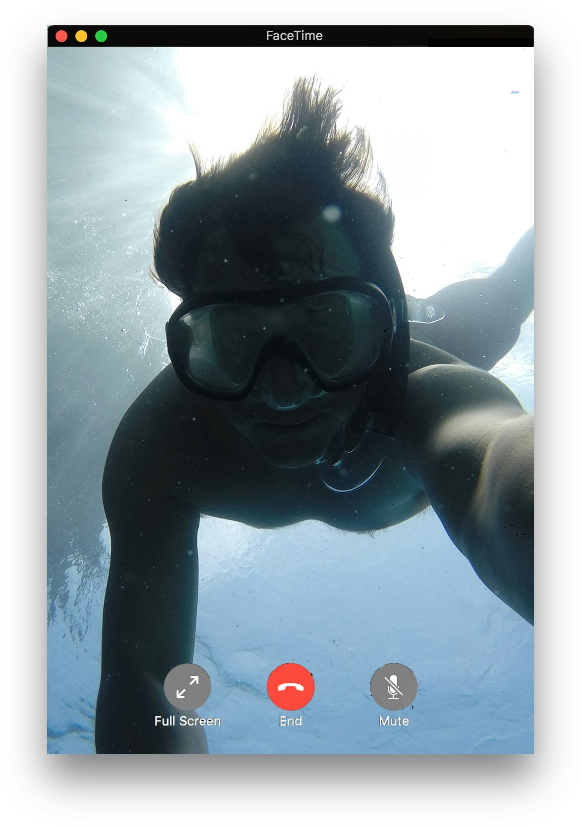 Daily Diary gallery image