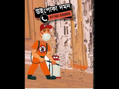 SM Pest Control CTG gallery image