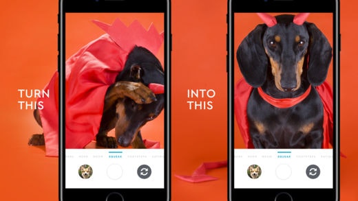 Wagcam gallery image