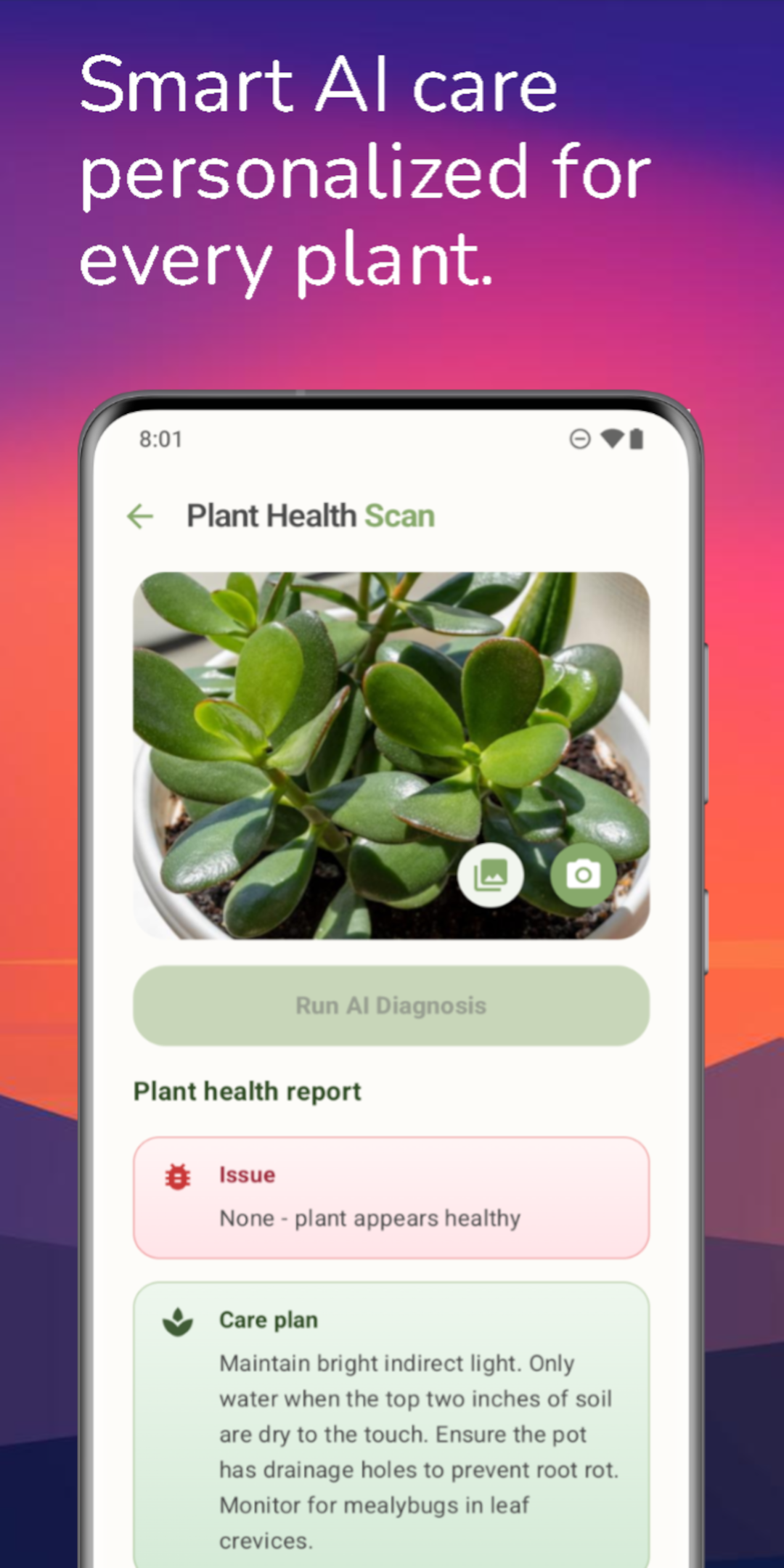 Leaf Vibe gallery image