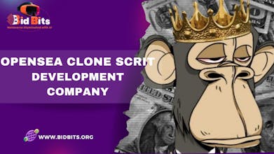 BIDBITS Opensea Clone Script gallery image