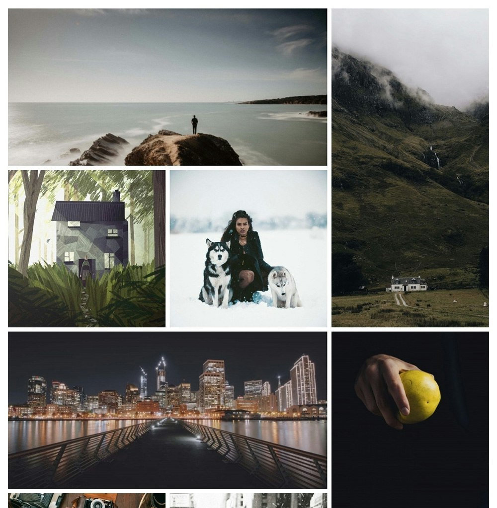 TZ Portfolio gallery image