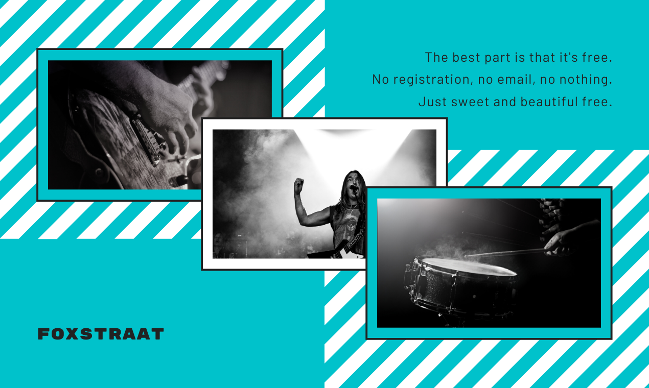 Dibfeed gallery image