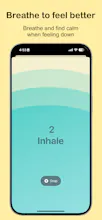 Feelly - AI Mood Tracker gallery image