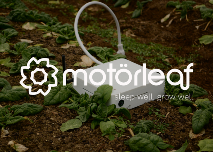 Motorleaf