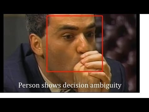 Uncertainty Detector gallery image