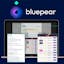 Bluepear Brand Bidding detection tool