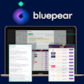 Bluepear Brand Bidding detection tool