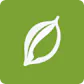 Cardamom