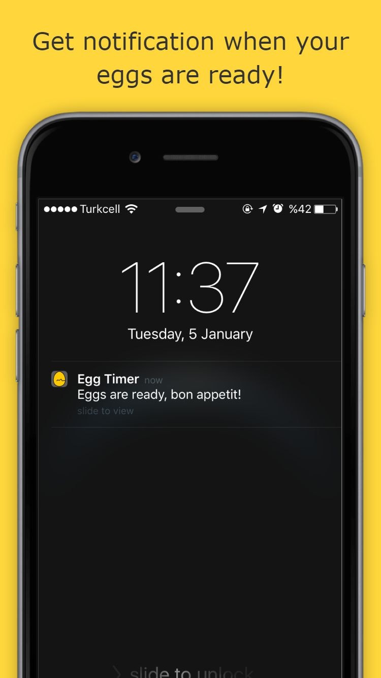 Egg Timer gallery image