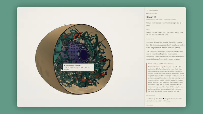 Claude Opus 5 screenshot 1 (video preview)