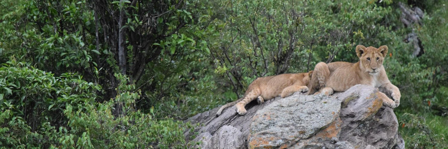 Prosper Otemuyiwa cover