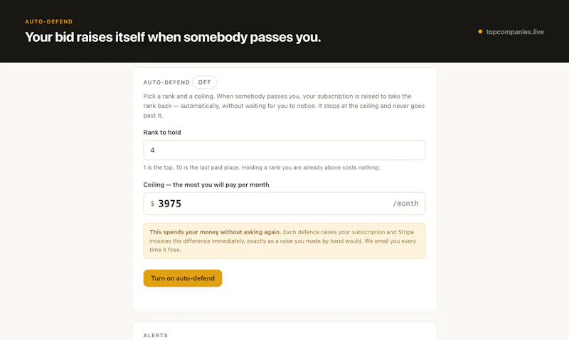 TopCompanies.live screenshot 2