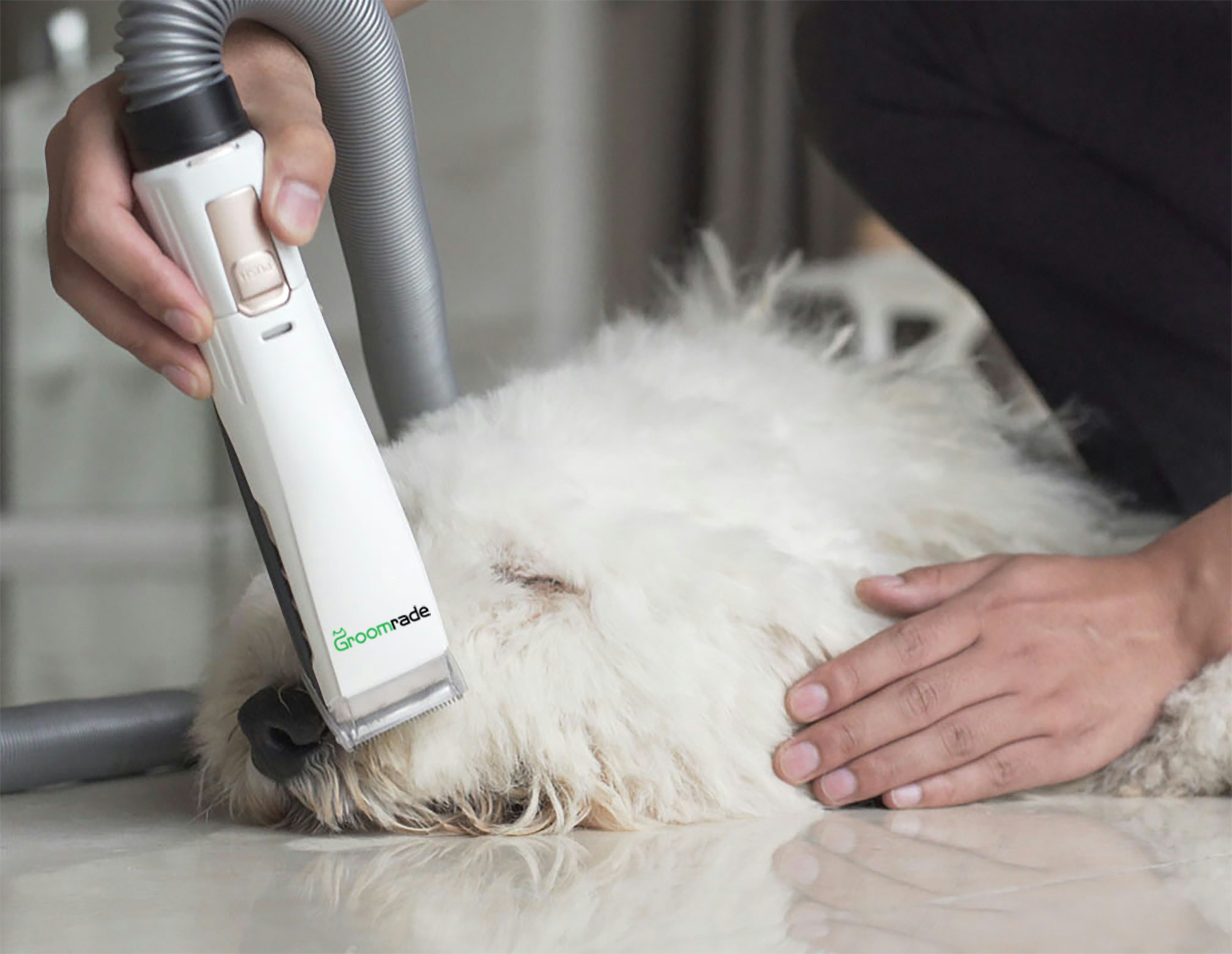 Groomrade: Smart & Mess-Free Vacuum Dog Groomer gallery image