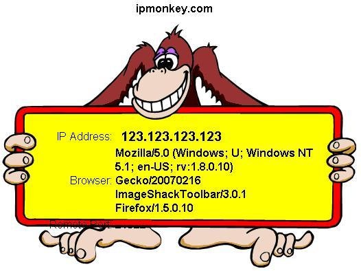 IP Monkey gallery image