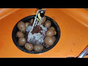 Automated Hydroponics using Arduino Mega gallery image
