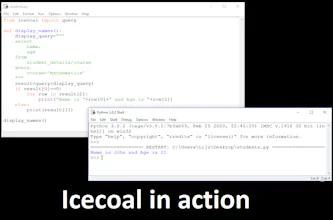 Icecoal gallery image