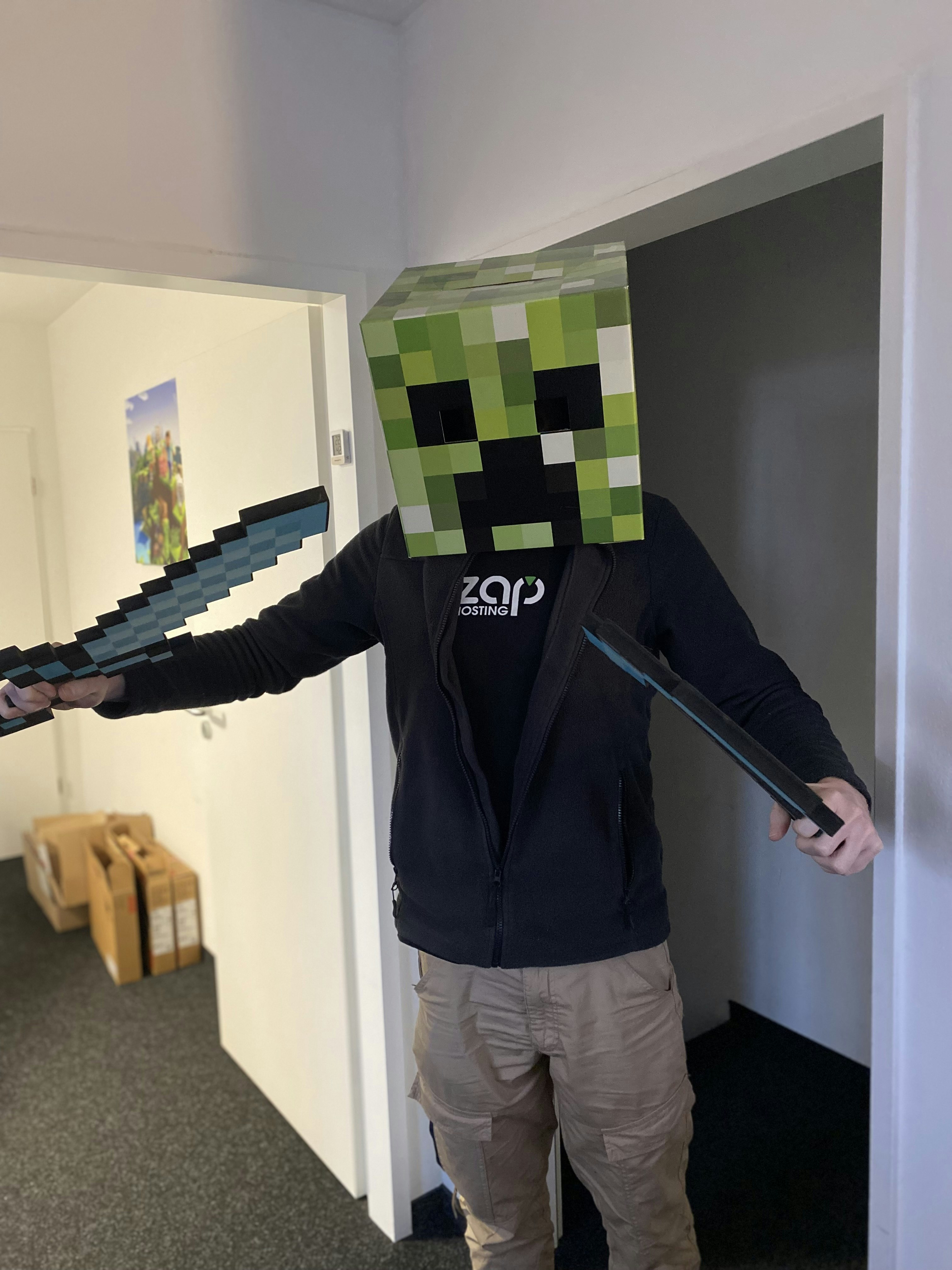 Zap-hosting media 5
