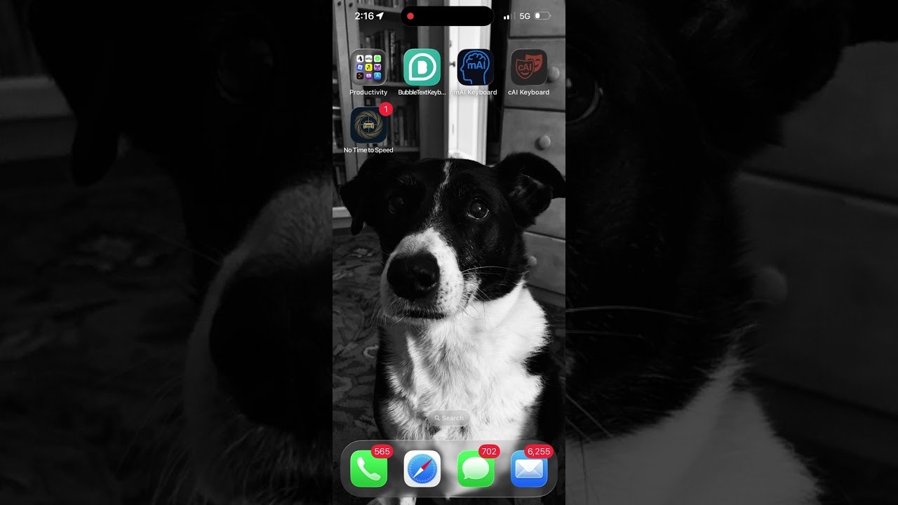 No Time to Speed iOS App gallery image